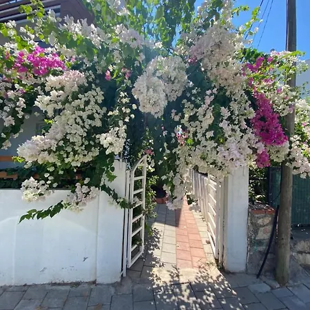 Apartment Beautiful Apart In Calis Area